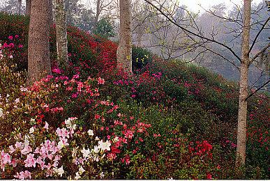 GTAOL：利用军火贸易奖励在地下军火贸易中赚钱